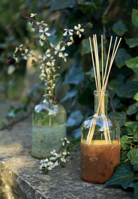MIKADO ORGANICO      500ML ORGMIK52 CITR 1