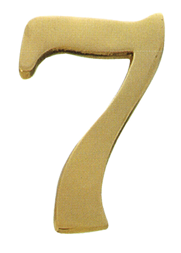 Numero 7 cromo brillo 100 mm3870020-blis