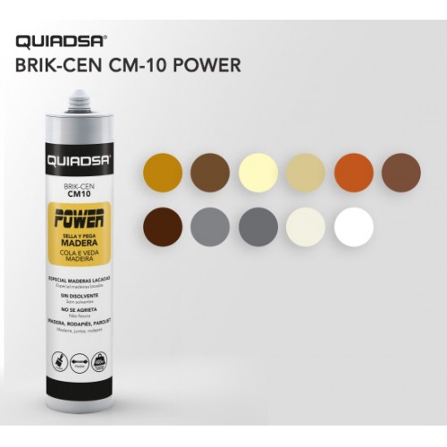 SELLADOR ACRILICO MADERA BRIK-CEN CM-10 POWER 300 ML SAPELLI 52502322 2