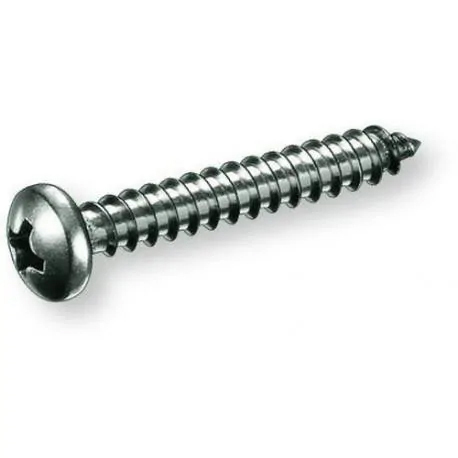 Tornillo lotu pozi r1h 3,0x20 cinc. c/re